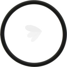 O-ring lyftkolv - X548958473000