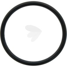 O-ring lyftkolv - X548953066000