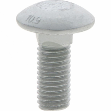 Skruv M12x30