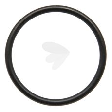 O-ring - F10001174706