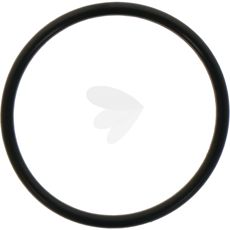 O-Ring - X548900866000