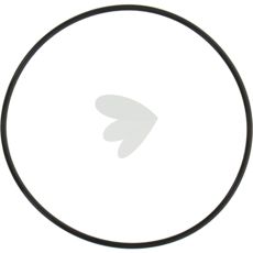 O-Ring - 84042608