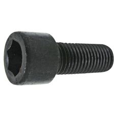 Skruv med inre sexkant M16x2x55 mm 12.9