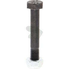Skruv med mutter M10x65