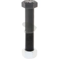Skruv med mutter M20x2,5x110 mm 10.9