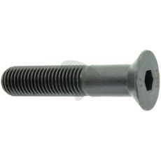 Skruv M20 X 100, 10.9