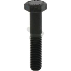 Skruv M12x60, 12.9