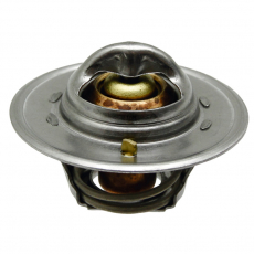 Termostat 3118127R1