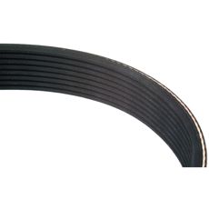 Poly-V / multiribbsrem 8PK3035 JD - L202229