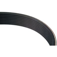 Poly-V-/multiribbrem 8PK1355 JD - R537213
