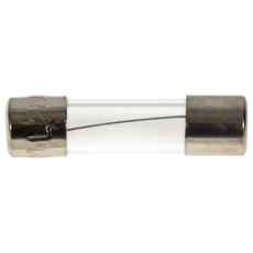 Skring Glas 10A 5,0X20 10St F2A