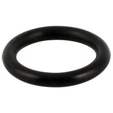 O-Ring Fr Flns