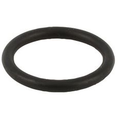 O-Ring Fr Flns Fiat New Holland, 70-65, 95-55