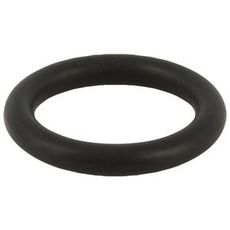 O-Ring 614602550